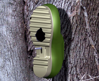 green shoe birdhouse nailed to tree green shoe birdhouse