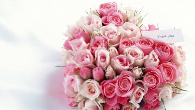 pink roses