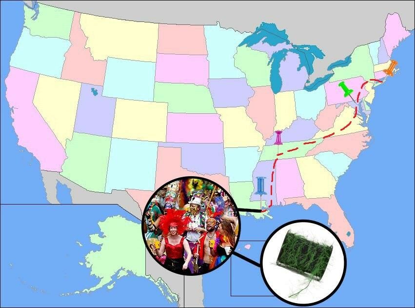 map of usa with road trip path to louisiana and snapshot of mardi gras parade