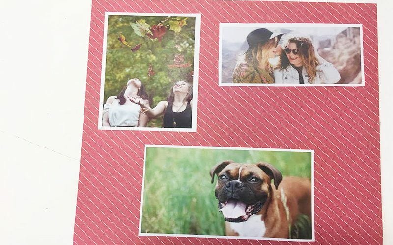 Photos of friends and a dog on red background