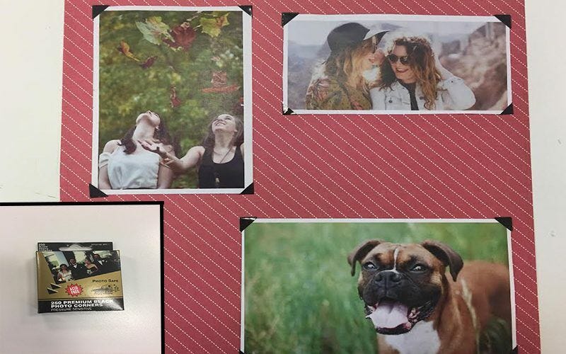 Photos of friends and a dog on red background