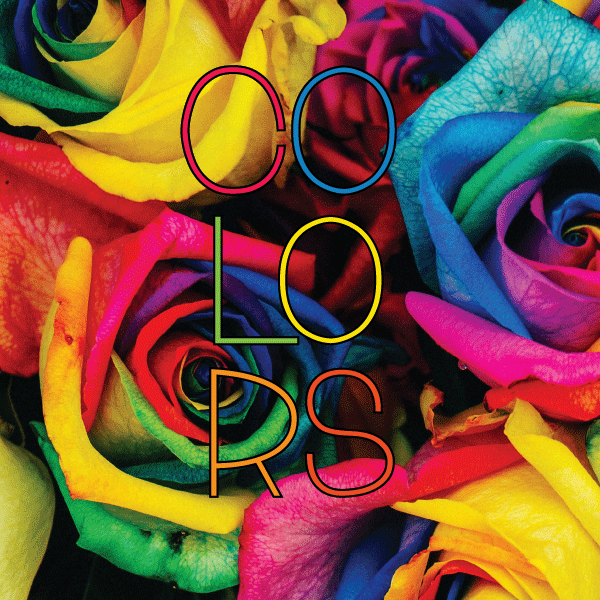 How can I Use Fonts to Create Better Marketing: rainbow colored roses