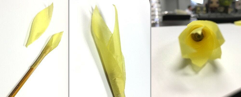 wrap tissue around pencil tissue wrapped around pencil