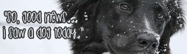 christmas cheer black dog in snow with black text