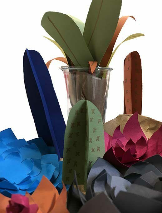 paper cactus and plants closeup