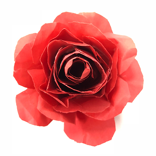 diy craft: top view of red rose with open petals