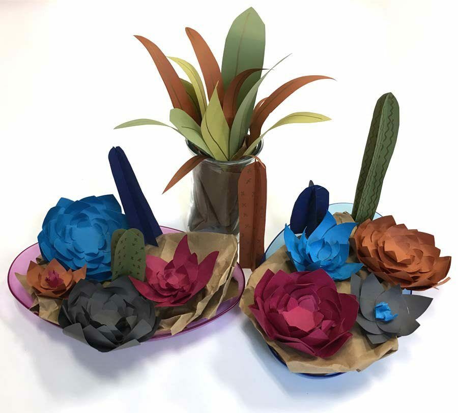 assorted colorful succulents in glass vase and bowls