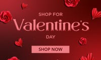 Valentine's Day Shop